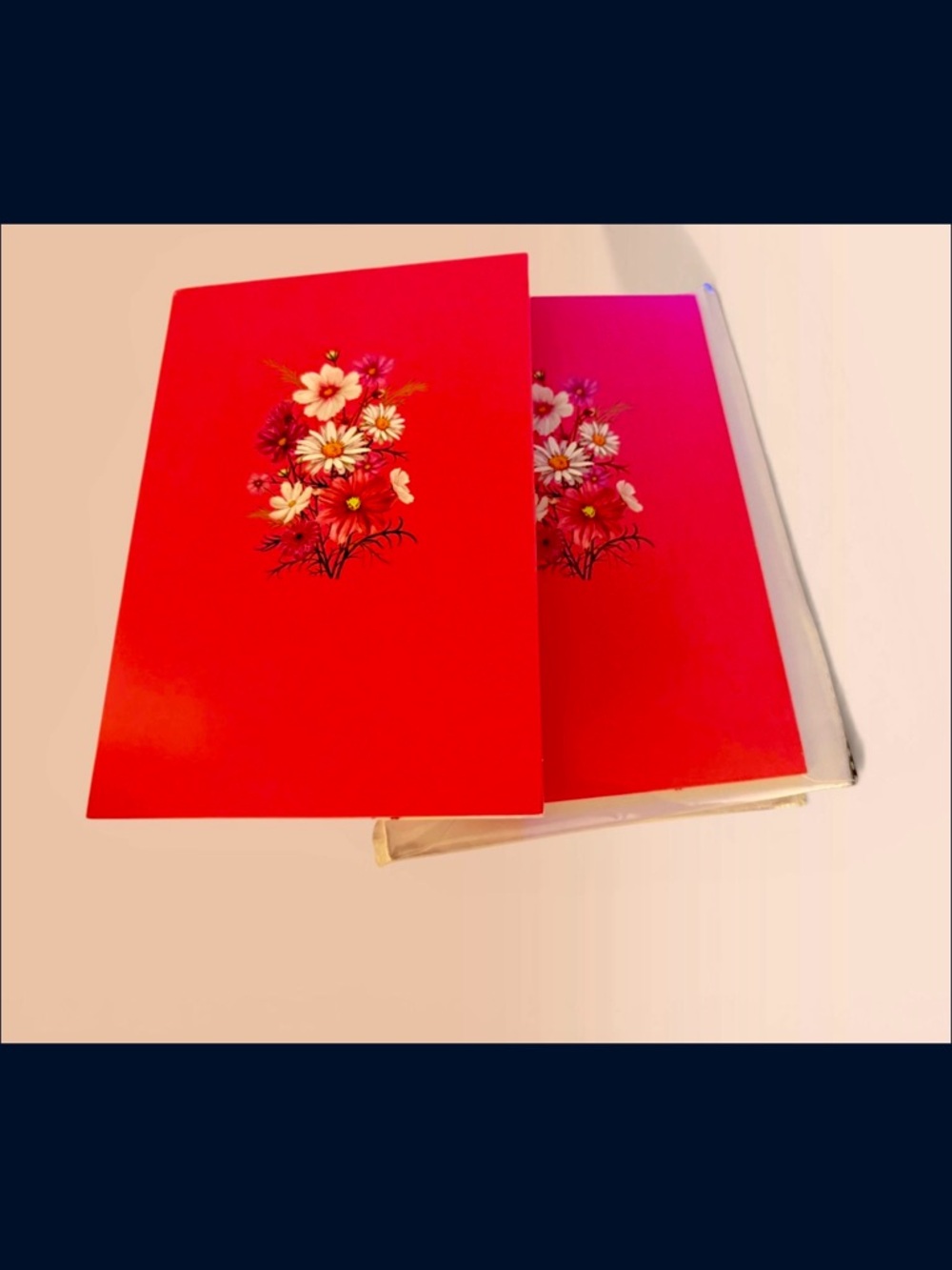 Daisy Pop-Up Card with Red, Pink and White Daisies - Daisyy